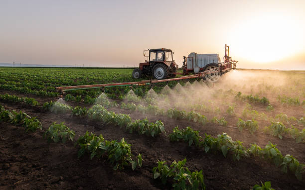 Professional Pest Control in Mayer, AZ